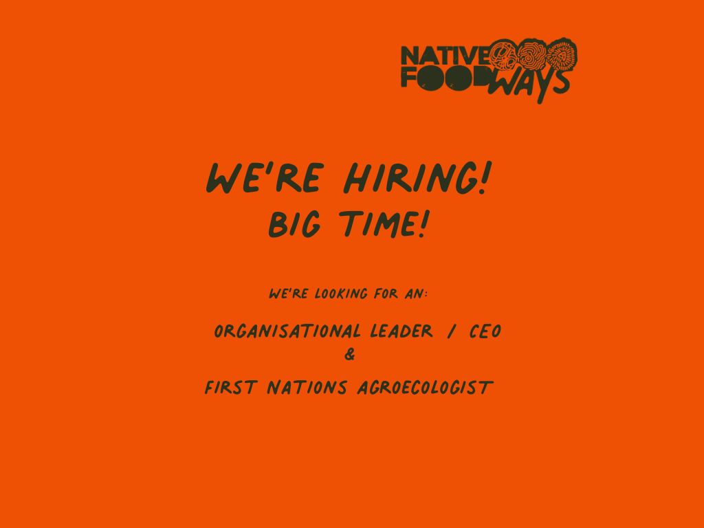 We're hiring! Big time! Join us!