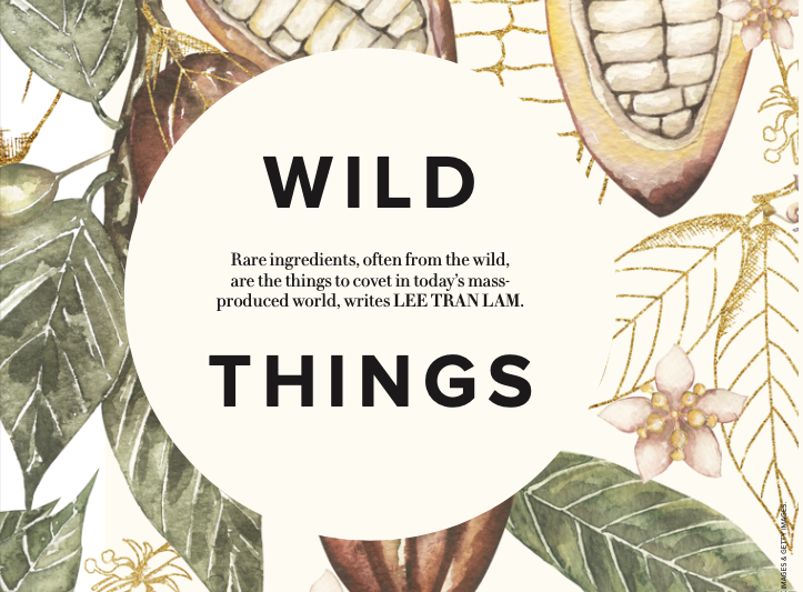 Wild Things - A write up in Gourmet Traveller for Native Honey